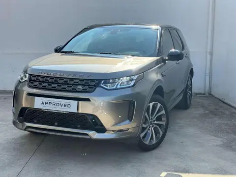 Used LAND ROVER DISCOVERY Hybrid 2020 Ad 