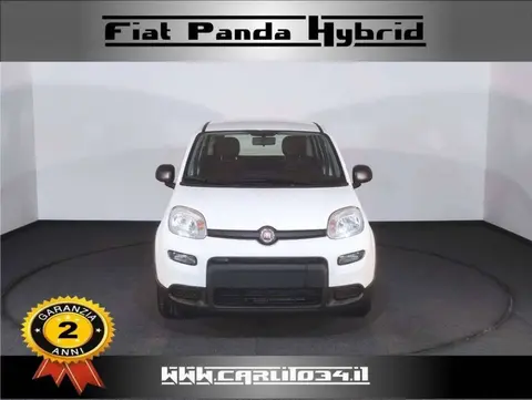 Annonce FIAT PANDA Hybride 2023 d'occasion 