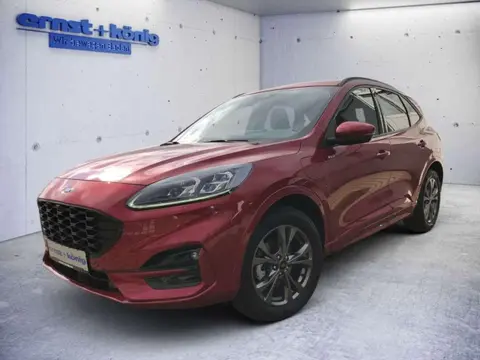 Used FORD KUGA Hybrid 2023 Ad 