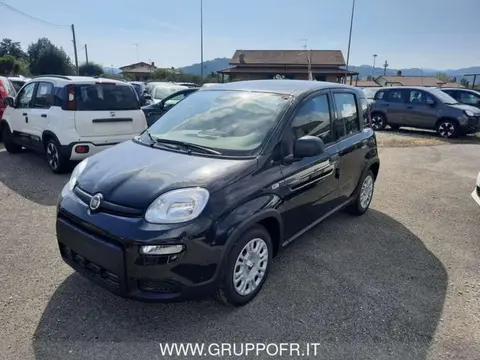 Annonce FIAT PANDA Hybride 2024 d'occasion 