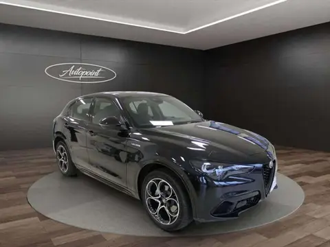 Annonce ALFA ROMEO STELVIO Diesel 2024 d'occasion 