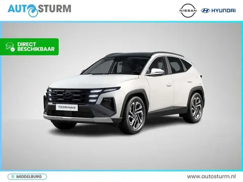 Annonce HYUNDAI TUCSON Hybride 2024 d'occasion 