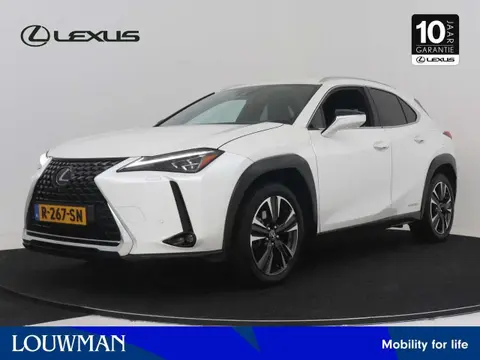 Annonce LEXUS UX Hybride 2021 d'occasion 