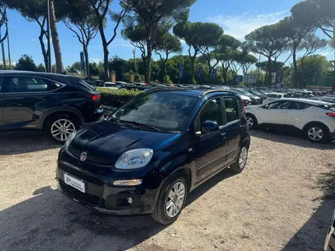 Annonce FIAT PANDA Essence 2017 d'occasion 