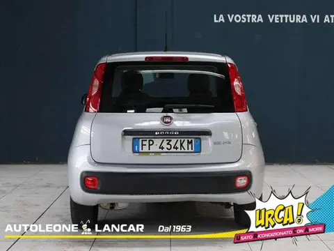 Used FIAT PANDA LPG 2018 Ad 