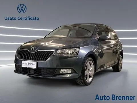 Used SKODA FABIA Petrol 2019 Ad 