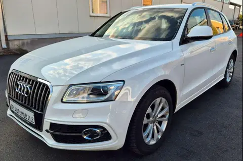 Used AUDI Q5 Diesel 2016 Ad 