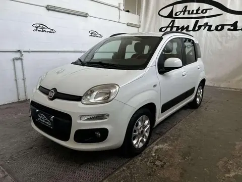 Used FIAT PANDA Diesel 2016 Ad 