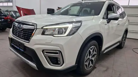 Annonce SUBARU FORESTER Hybride 2020 d'occasion 