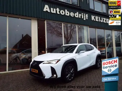 Used LEXUS UX Hybrid 2019 Ad 