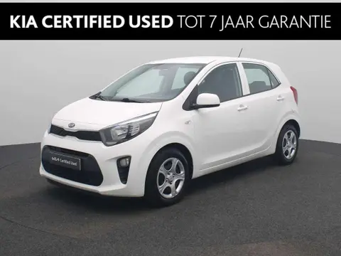 Annonce KIA PICANTO Essence 2019 d'occasion 