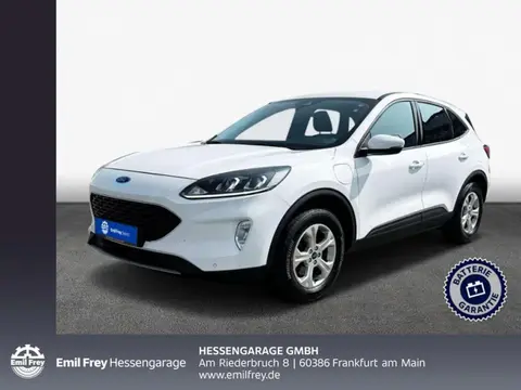 Used FORD KUGA Hybrid 2022 Ad 