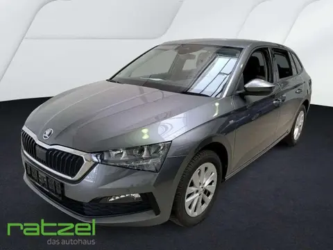 Used SKODA SCALA Petrol 2023 Ad 