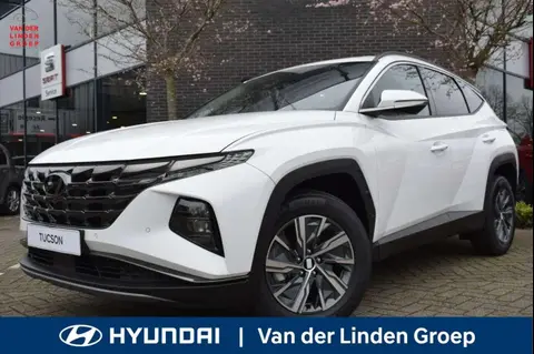 Annonce HYUNDAI TUCSON Hybride 2024 d'occasion 