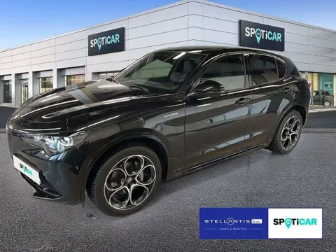 Used ALFA ROMEO STELVIO Petrol 2023 Ad 