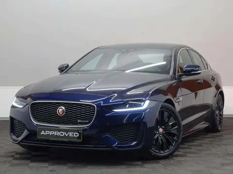 Annonce JAGUAR XE Diesel 2020 d'occasion 