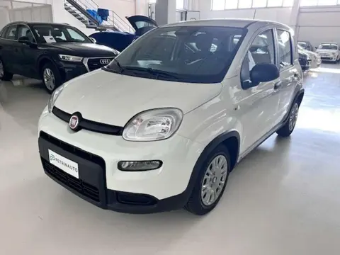 Used FIAT PANDA Hybrid 2024 Ad 