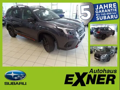 Used SUBARU FORESTER Petrol 2024 Ad 