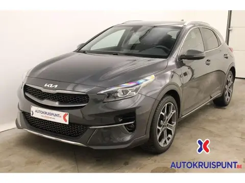 Used KIA XCEED Petrol 2022 Ad Belgium