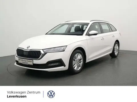 Used SKODA OCTAVIA Petrol 2021 Ad 