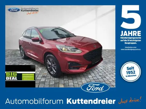 Annonce FORD KUGA Hybride 2021 d'occasion 