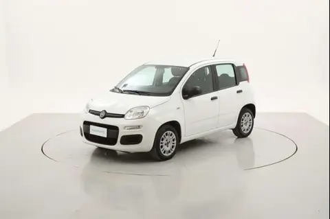 Used FIAT PANDA Petrol 2019 Ad 