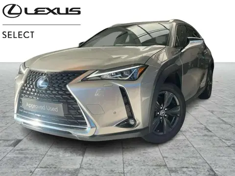 Annonce LEXUS UX Hybride 2021 d'occasion 