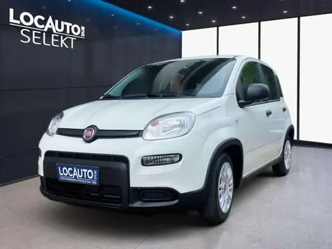 Used FIAT PANDA Hybrid 2022 Ad 