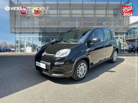 Annonce FIAT PANDA  2024 d'occasion 