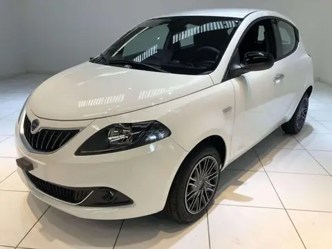 Used LANCIA YPSILON Hybrid 2023 Ad 