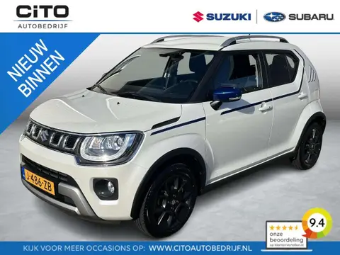 Used SUZUKI IGNIS Hybrid 2020 Ad 