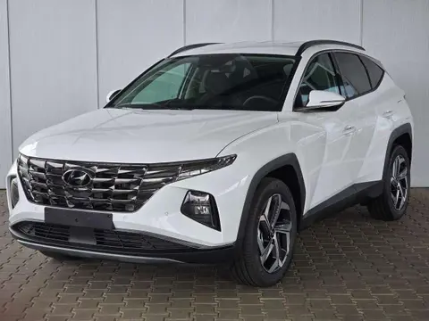 Annonce HYUNDAI TUCSON Hybride 2024 d'occasion 