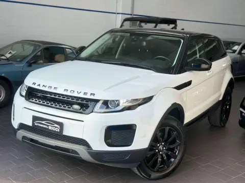 Used LAND ROVER RANGE ROVER EVOQUE Diesel 2019 Ad 