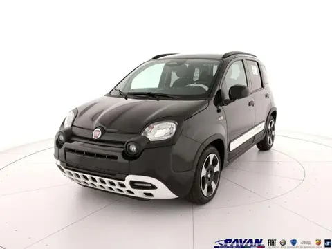 Used FIAT PANDA Hybrid 2024 Ad 