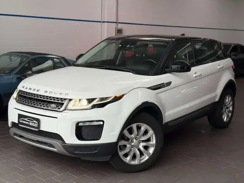 Used LAND ROVER RANGE ROVER EVOQUE Diesel 2017 Ad 