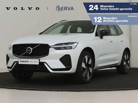 Used VOLVO XC60 Hybrid 2023 Ad 