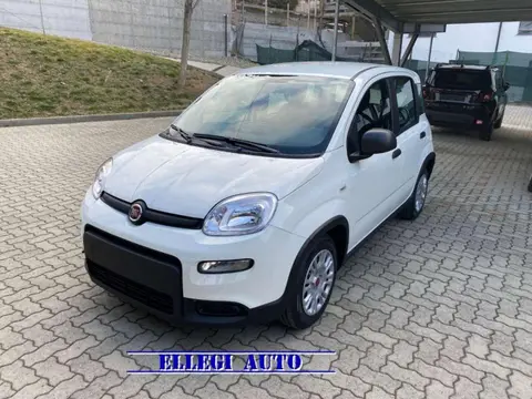 Annonce FIAT PANDA Hybride 2024 d'occasion 