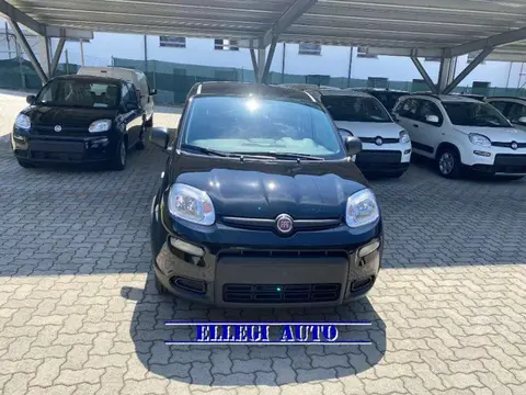 Used FIAT PANDA Hybrid 2024 Ad 