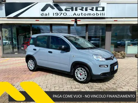 Annonce FIAT PANDA Hybride 2022 d'occasion 