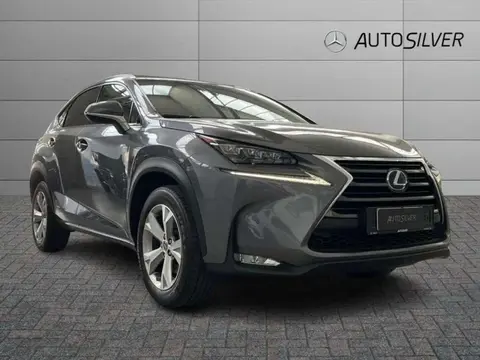 Annonce LEXUS NX Hybride 2017 d'occasion 