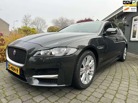 Used JAGUAR XF Petrol 2019 Ad 