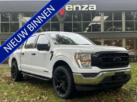 Used FORD F150 Hybrid 2024 Ad 