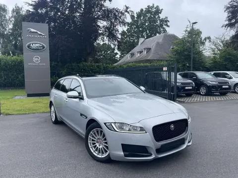 Used JAGUAR XF Diesel 2020 Ad 