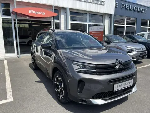 Used CITROEN C5 AIRCROSS Petrol 2024 Ad 