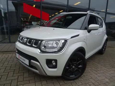 Annonce SUZUKI IGNIS Essence 2021 d'occasion 