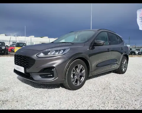 Annonce FORD KUGA Diesel 2021 d'occasion 