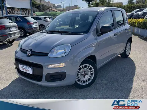 Annonce FIAT PANDA Hybride 2022 d'occasion 