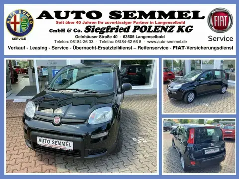 Used FIAT PANDA Petrol 2024 Ad 