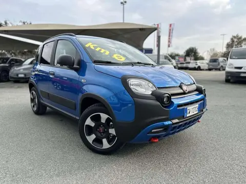 Used FIAT PANDA Hybrid 2024 Ad 