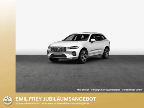 Annonce VOLVO XC60 Diesel 2023 d'occasion 